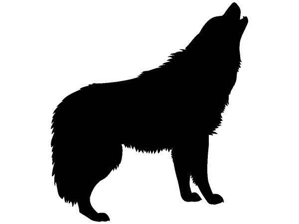 Животные 2305 Животные 2305