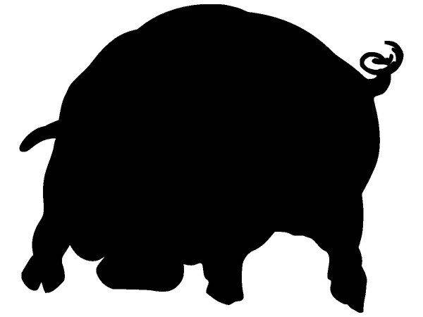 Животные 376 Животные 376