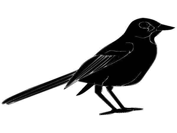 Животные 1223 Животные 1223