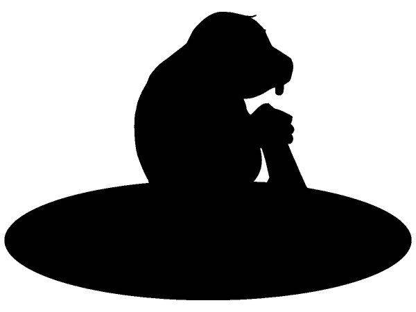 Животные 396 Животные 396