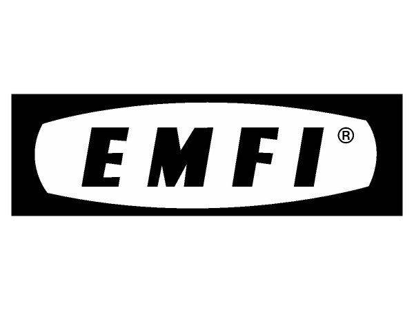EMFI logo