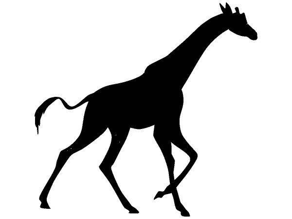 Животные 4119