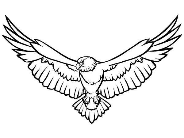 Животные 1251