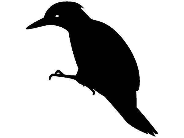 Животные 1418