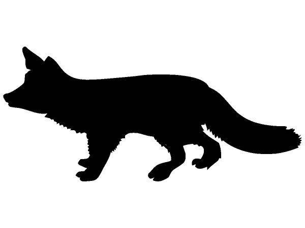 Животные 686