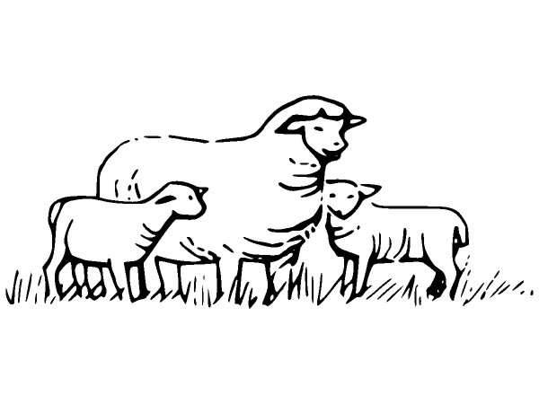 Животные 287