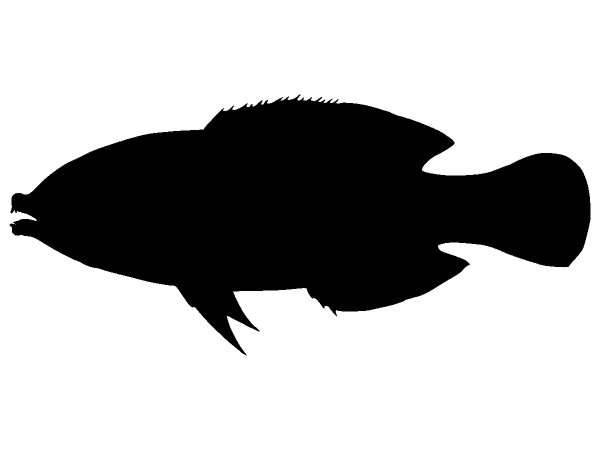 Животные 1195