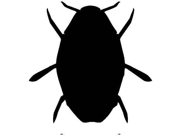 Животные 3058 Животные 3058