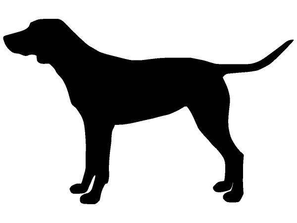 Животные 4222