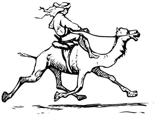 Животные 2592