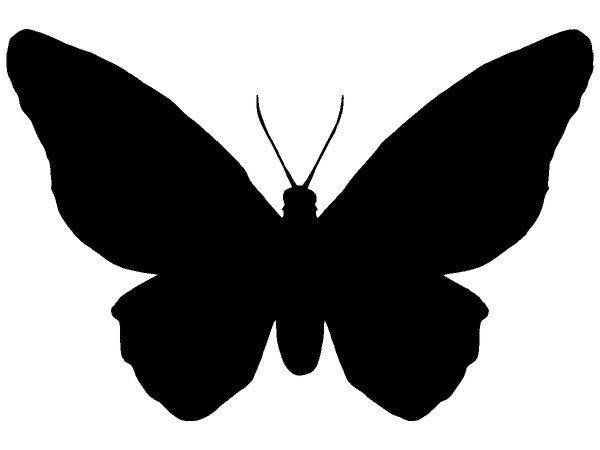 Животные 3137 Животные 3137