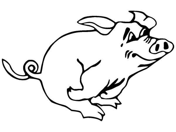 Животные 260