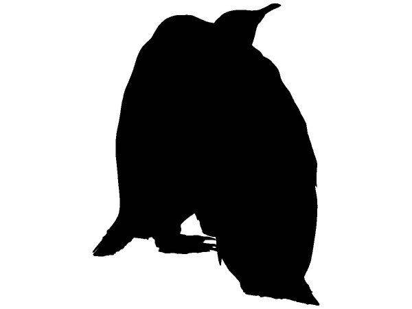 Животные 2206 Животные 2206