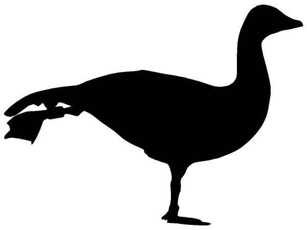 Животные 1210