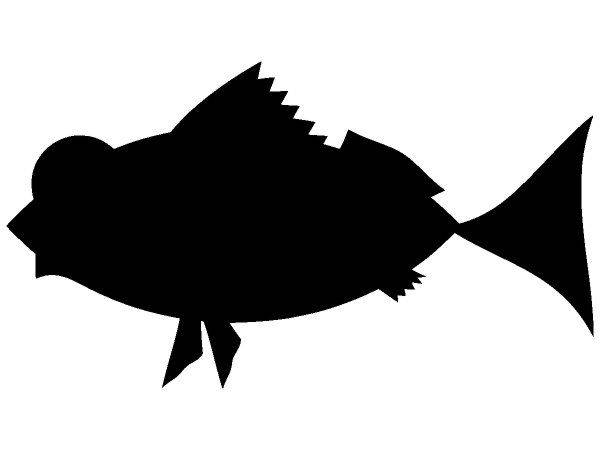 Животные 3097 Животные 3097