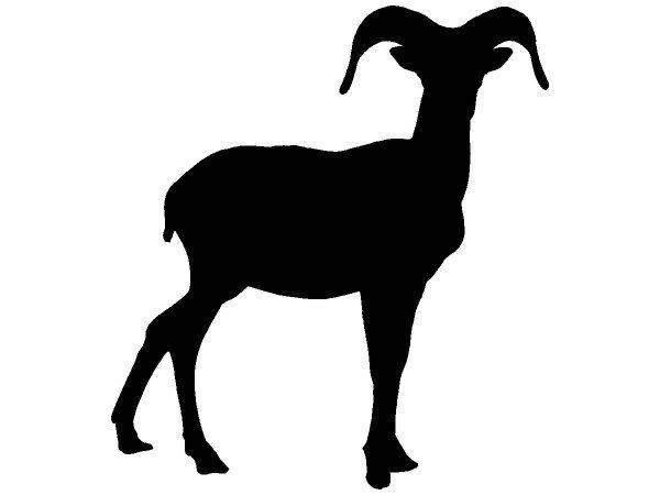 Животные 4185