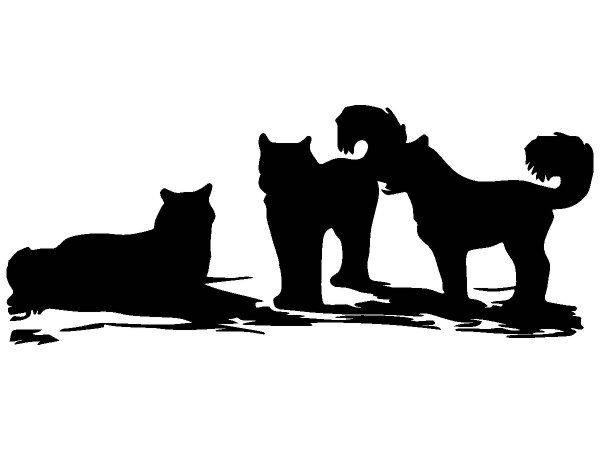 Животные 2220 Животные 2220