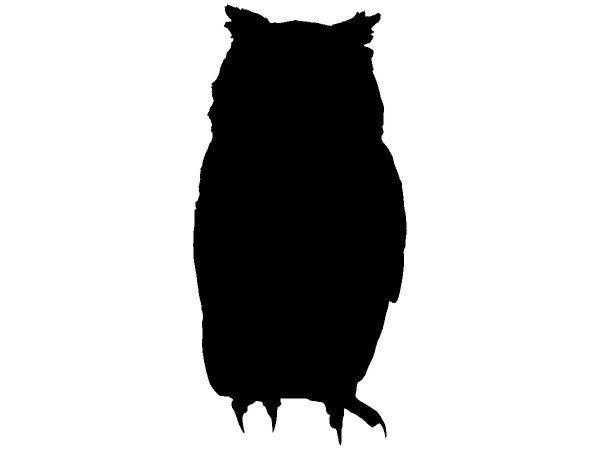 Животные 2335