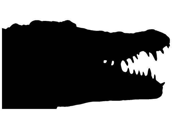 Животные 4265 Животные 4265