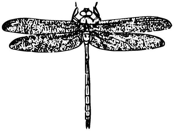 Животные 867