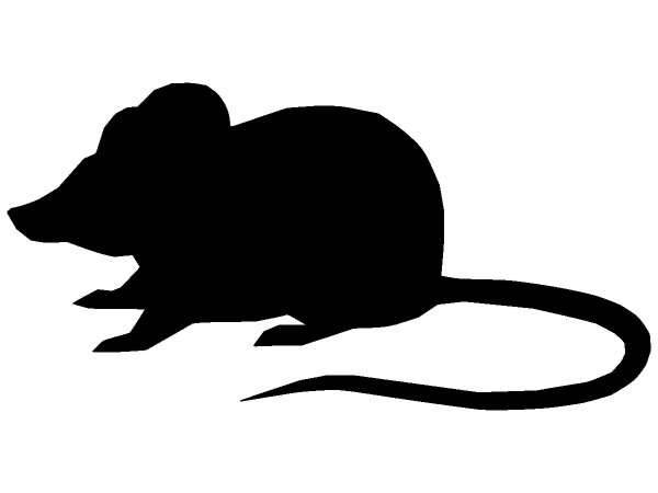 Животные 376