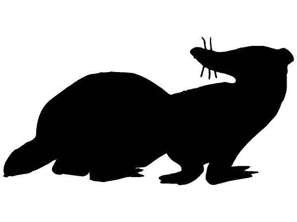 Животные 359