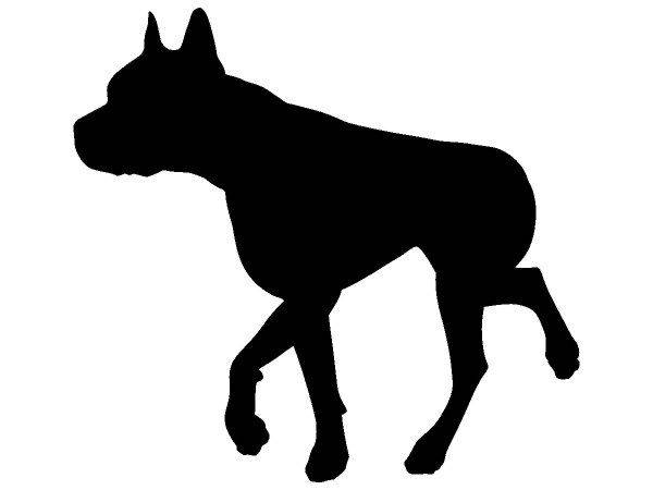 Животные 4033