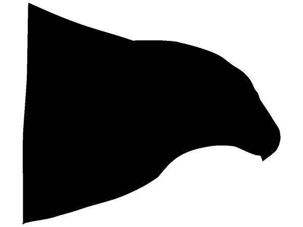 Животные 1193 Животные 1193