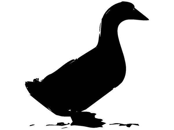 Животные 4060