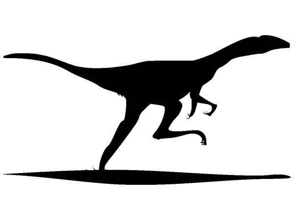 Животные 573 Животные 573