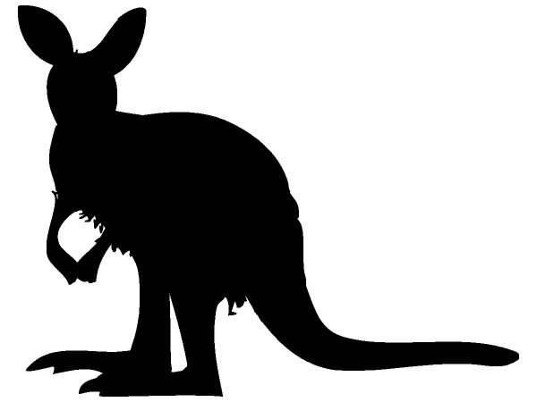 Животные 381