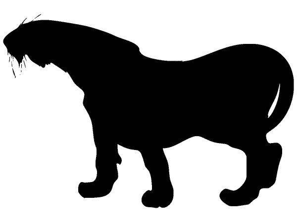 Животные 640