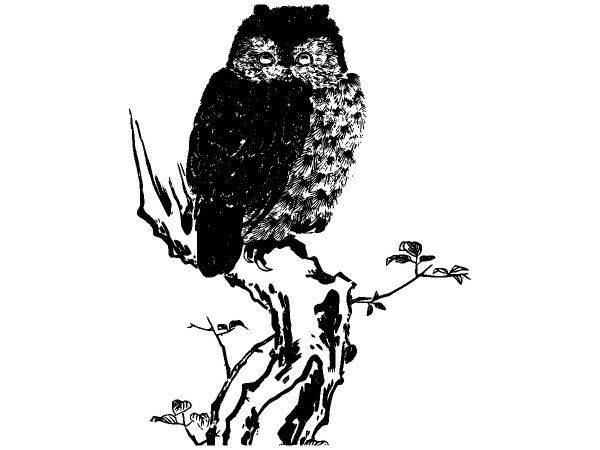 Животные 3455 Животные 3455