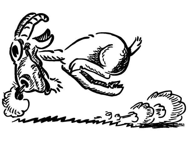 Животные 325