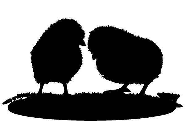 Животные 3519 Животные 3519