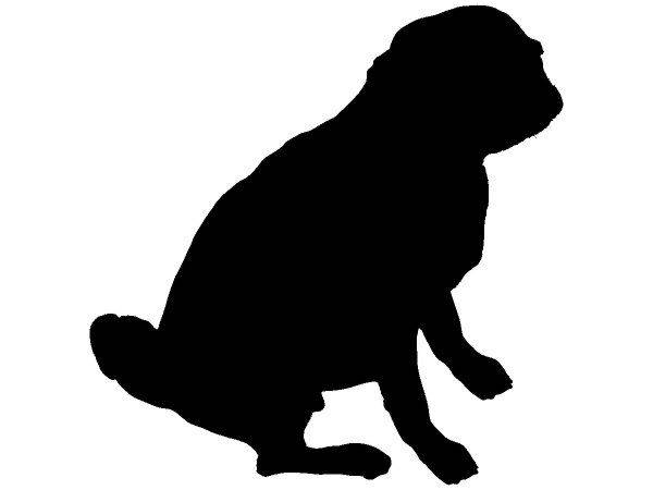 Животные 2217 Животные 2217