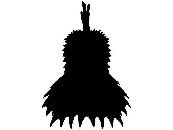 Животные 2286 Животные 2286