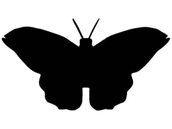 Животные 3141 Животные 3141