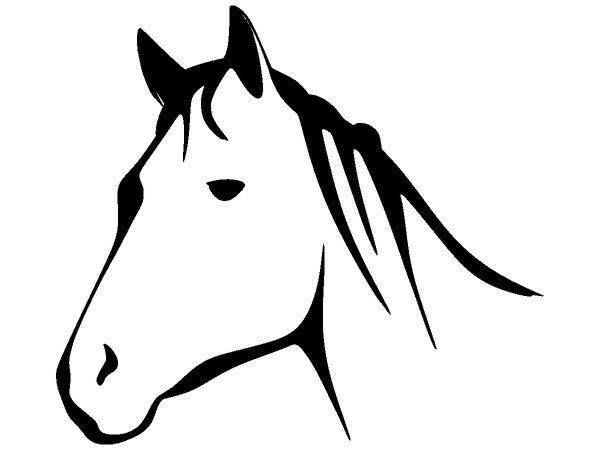 Животные 3204