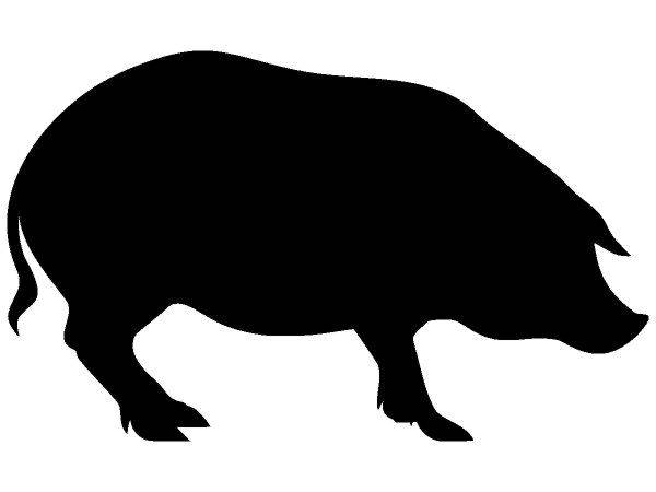 Животные 293 Животные 293