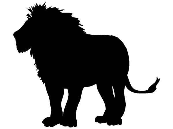 Животные 374