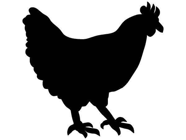 Животные 3600 Животные 3600