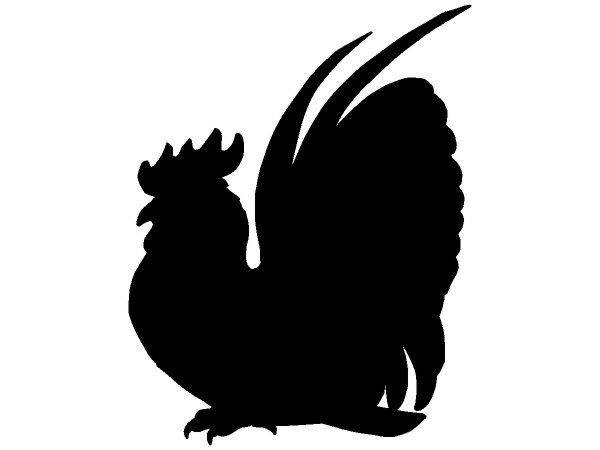 Животные 374 Животные 374