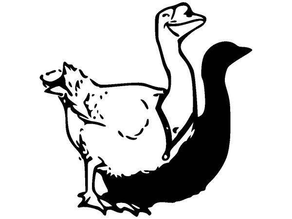 Животные 1194