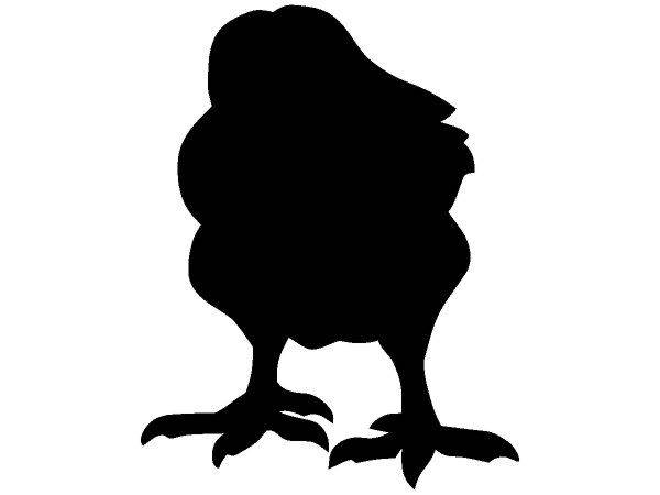 Животные 3606 Животные 3606