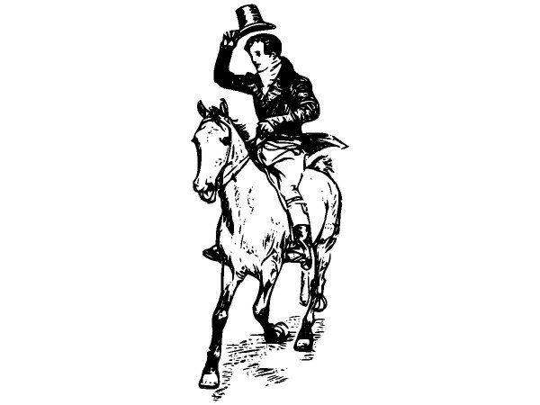 Животные 2588