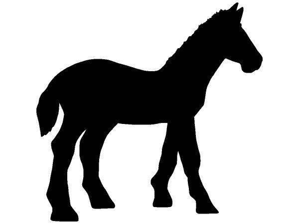 Животные 2371 Животные 2371