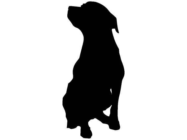 Животные 357