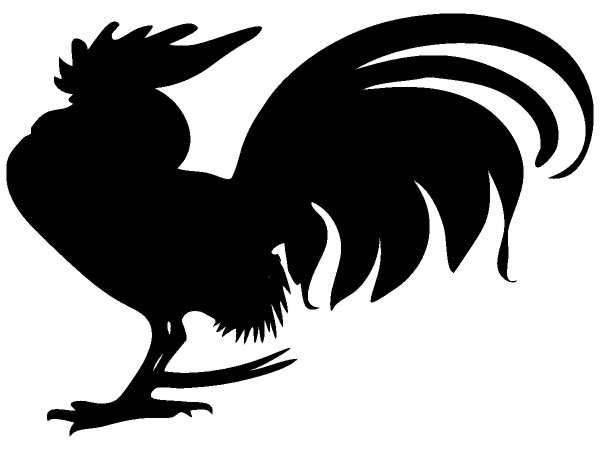 Животные 337