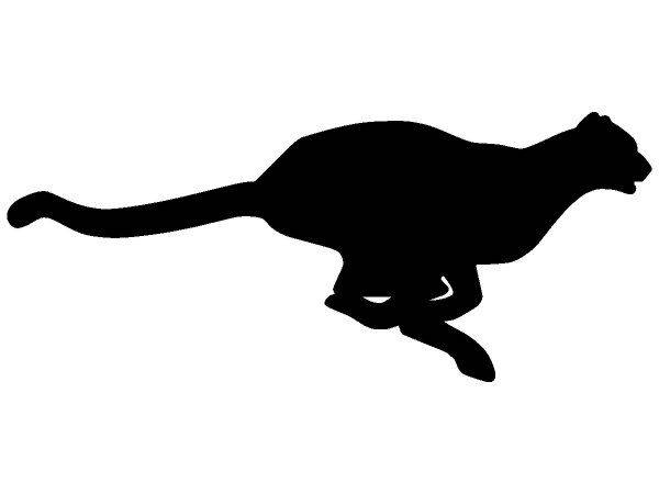 Животные 699 Животные 699